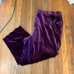 Draper James elastic waist pull up fully lined velvet pants and purple